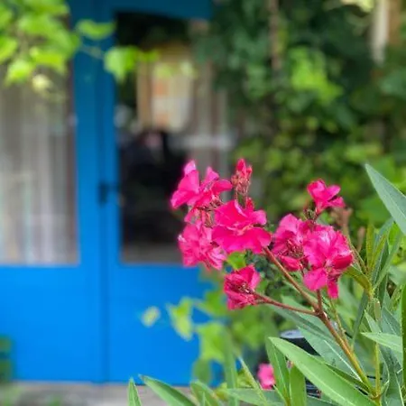 Holiday home Hameau Du Soleil - Papillon Sainte-Mondane